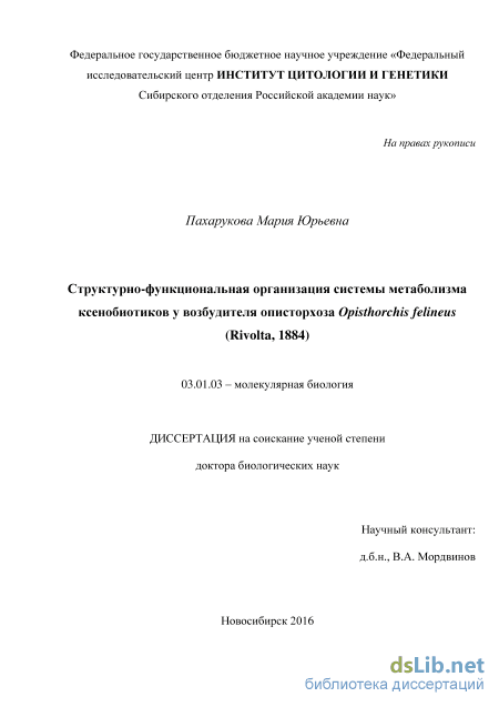 Вы точно человек?