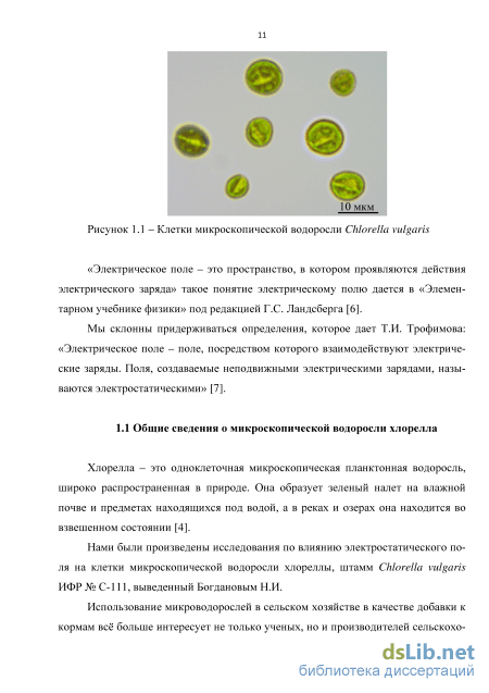 Биореактор для водорослей