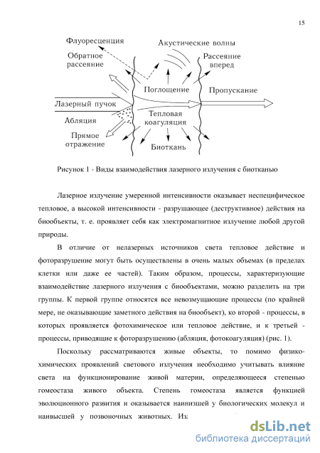 Какие особенности отличают вирусы от других живых организмов?