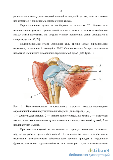 Разрыв сухожилий ротаторной манжеты плечевого сустава