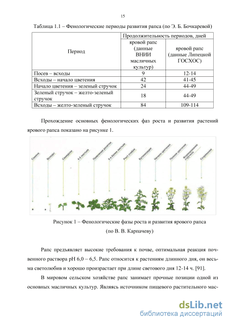 Схема защиты рапса ярового