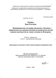 Функциональное состояние организма у больных с хроническим посттравматическим остеомиелитом костей нижних конечностей на этапах лечения по Илизарову Чубейко Вера Олеговна  Функциональное состояние организма у больных с хроническим посттравматическим остеомиелитом костей нижних конечностей на этапах лечения по Илизарову