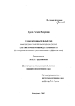 Словообразовательный тип и многозначное производное слово как системные взаимодетерминанты : На материале отыменных существительных с суффиксом -ник Жукова Татьяна Валериевна Словообразовательный тип и многозначное производное слово как системные взаимодетерминанты : На материале отыменных существительных с суффиксом -ник