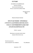 Пространственно-временная структура бактериопланктона и его роль в самоочищении малых озер Архангельской области Широкова Людмила Сергеевна Пространственно-временная структура бактериопланктона и его роль в самоочищении малых озер Архангельской области