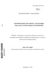 Формирование механизма управления рисками строительных предприятий Шелевой, Денис Геннадьевич Формирование механизма управления рисками строительных предприятий